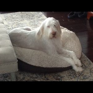 Meet your Posher, Richard